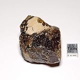 [N2 stone Natural] 天然化石 青色蛍光 - 琥珀 (ブルーアンバー/amber) - インドネシア スマトラ産 | (原石: 約18-28g [1個])