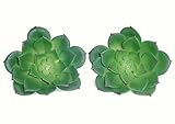 TomYumKung2 x 4" Baby Echeveria Picks, Artificial Succulents
