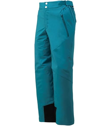 Amazon.co.jp: GOLDWIN ゴールドウイン スキーウェア パンツ＜2023