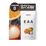 【薬剤師・管理栄養士監修】NORM ノーム EAA ライチオレンジ 500g BCAA 国内製造 9種 必須アミノ酸配合 ロイシン 筋トレ サプリ パウダー プロフェッショナル仕様 ワークアウトサポート