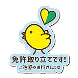 免許取り立てです! ヒヨコ マグネット 車 縦11cm 3カラー (ブルー(艶消し))
