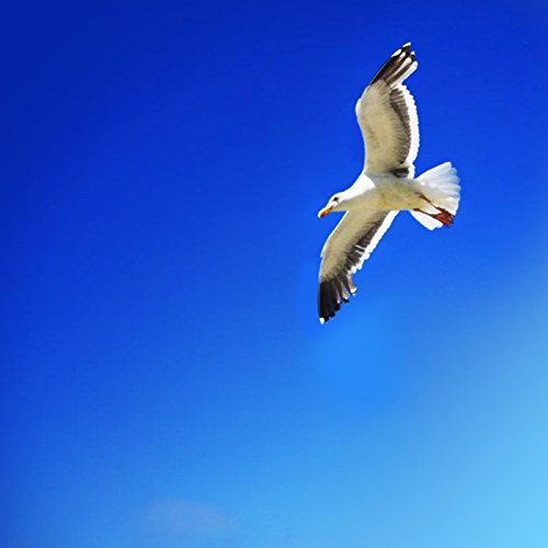 ゆずのカラオケ人気曲とは 心地いい歌詞にも注目 おすすめしたい名曲を厳選 音楽メディアotokake オトカケ