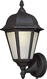 Forte Lighting 17016-01-04 Exterior Wall Light with Frosted Seeded Glass Shades, Black by Forte Ligh