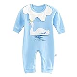 Hzjundasi 赤ちゃん Infant Bodysuit Romper ジャンプスーツ Long Sleeve Princess コットンClothes