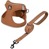 BELLA & PAL 犬用 ハーネス リード セット 小型犬 超小型犬 猫用ハーネス 胴輪 引っ張り防止 サイズ調整可能 夜間反射 脱着簡単 耐久性 通気性 ソフト メッシュ (ブラウン, M)