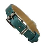 Beanspet 犬首輪 ベーシック ベルトタイプ 厚め本革 犬 首輪 レザー 定番 くびわ (M, グリーン)