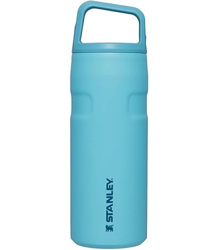 Amazon.co.jp: Stanley All Day Slim Bottle 20 OZ | Twist off Lid