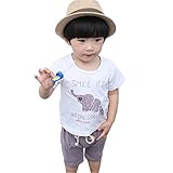 YUEGUANG 子供服 キッズ Tシャツ & パンツ 上下 2点セット 半袖 春夏 かわいい ファッション 子供 パジャマ 男の子 ボーイズ ベビー 幼児服 キッズ服 普段着 綿 95% (100c