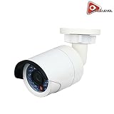 LTS Platinum 2.1MP "Mini" Bullet Camera with 4mm Fixed Lens [並行輸入品]