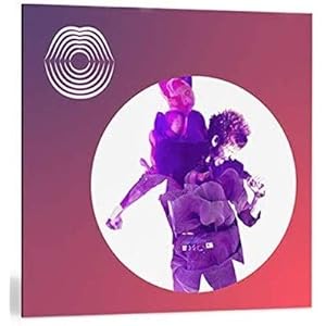 iZotope VocalSynth2 クロスグレード版 from any paid iZotope product ア…