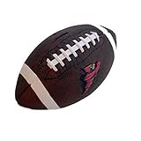 NCAA Iowa State Cyclones Football Piggy /コインバンク