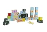 PBS Kids Number Exploration Blocks [並行輸入品]