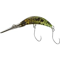 41F96qXpCXL._AC_UL210_SR210,