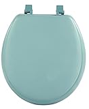 High Quality TOVYSTLG04 17-Inch Fantasia Standard Toilet Seat, Soft Light Green