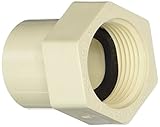 King Brothers Inc. RCF-1000-S 1-Inch Threaded PXL CPVC Female Adapter, Tan [並行輸入品]