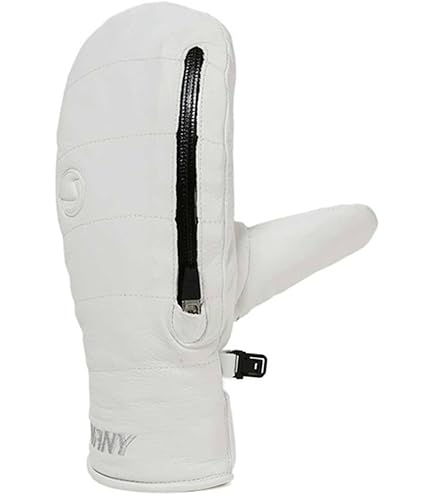 Amazon | SWANY スワニー スキーグローブ メンズ＜2026＞TS-100A