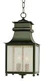 Trans Globe Lighting 45633 WB 2-Light Hanging Lantern, Weather Bronze [並行輸入品]