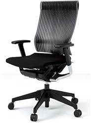 イトーキ Spina（スピーナチェア） 背：エラストマータイプ（スモークグレー） 座：クロス（ブラックT） 樹脂脚（ブラックT） KE-757GP-T1T1SG 可動肘付