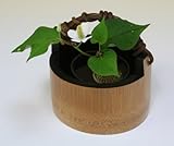 竹製・丸竹花入れ「かずら手桶」