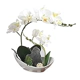 SUND 人工観葉植物　枯れない おしゃれ 大型 コチョウランの植え インテリア 雑貨 可愛い 高品質 結婚式 誕生日 発表会 入学式 卒業式 適用 ホワイト