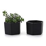 T4U 7CM 陶器ミニ植木鉢 六角形 マット表面 多肉植物 サボテン鉢 フラワーポット プランター容器 黒 2個入り