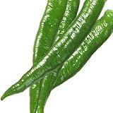 唐辛子 種 【 大甘長万里 】 種子 小袋　（約20粒）