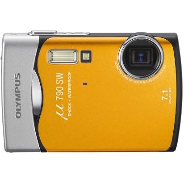 41FJvXiL-2L._AC_UL375_SR375,
