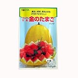 スイカ 種 【 金のたまご 】 種子 小袋（約10粒）