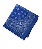 ガーゼハンカチ・ペイズリー柄（５色展開） (ブルー)