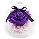botrong Preserved Flowerローズinガラス、Never witheredバラ、バレンタインの日のギフト、記念日、休日Present 9*8*12cm パープル