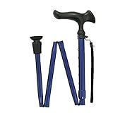 フジホーム かるがもＥ 折畳Ｓ ブル－ [適応身長：約140～160cm]