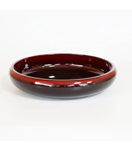Amazon.co.jp: うるし工芸 米永 うるし塗装 越前漆器 漆塗り 桜