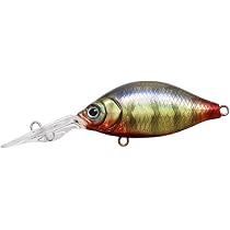 Amazon.co.jp: Issei G.C. Shallow Crank 40SR 