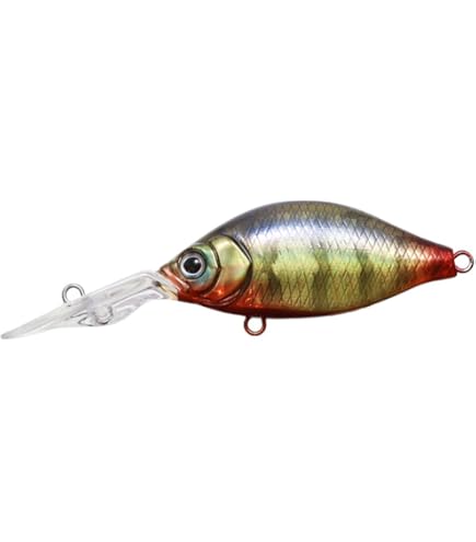 Amazon | ダイワ(DAIWA) バスロッド ハートランド 6102LFS-AGS13