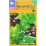 【種子】ベビーリーフ・レタスミックス 20ml
