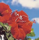 ����2�`�炫��股��