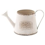 不二貿易 コルテ ジョウロ ホワイト 31852