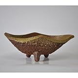 信楽焼 舟形イラボ 山野草鉢 7号 幅23cm×高さ7cm