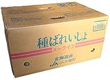 じゃがいも 種イモ　メークイン 10Kg　Ｍサイズ　送料込