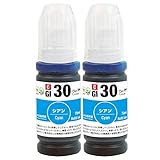 キヤノン用互換インクボトルInc.com製 GI-30(C/シアン) ２本セット 国内梱包再検品 対応プリンター： G6030 G5030 GM2030