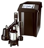 PENTAIR WATER FPCC3320 12V Emergency Back Up Pump by Pentair