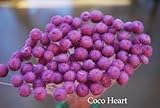 ~Coco Heart~　アマレリー　ライラックピンク　大束　（木の実・ドライフラワー）