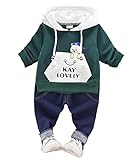 CXYP キッズ服 男の子 春夏 上下セット コットン 子供服 カジュアル 幼児 長袖 80cm～110cm (90cm, グリーンⅠ)