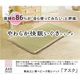 イケヒコ い草シーツ い草マット ベビー 寝具 医師との共同開発 『アスク ベビー汗取P』 約70×120cm ♯7415029