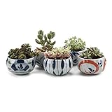 T4U 11CM 陶器鉢 和風の陶土シリーズセット 多肉植物 サボテン鉢 フラワーポット プランター容器 5個入り