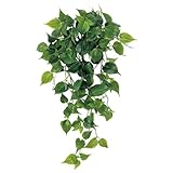 asca 造花 フィロブッシュバイン グリーン 全長81cm A-40993-051A
