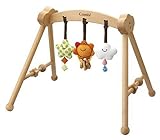 ファブーナ スタンダードジム