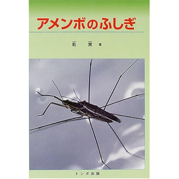 アメンボのふしぎ 乾 実 本 通販 Amazon