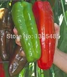 100粒/袋ジャイアントレッドペッパーホットスパイススパイシーチリペッパー種子植物の家の庭の植物