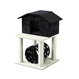 PAW-PAW CAT CONDO